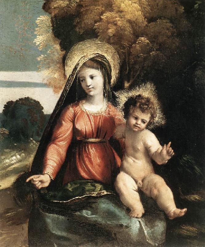 DOSSI, Dosso Madonna and Child ddfhf